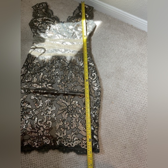 Tadashi Shoji Pailette Sheath Dress Smoke Pearl Size 4 - Picture 10 of 10